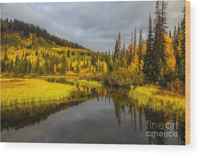 Autumn Wood Print featuring the photograph Autumn Sunrise by Spencer Baugh