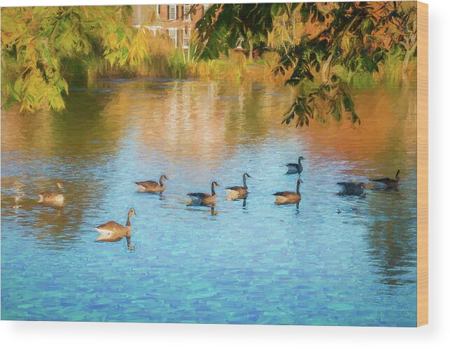 Geese Wood Print featuring the photograph Autumn Swim by Cathy Kovarik