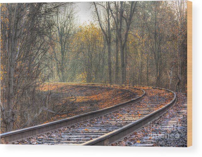 Landscape Wood Print featuring the photograph Autumn Tracks by Rod Best