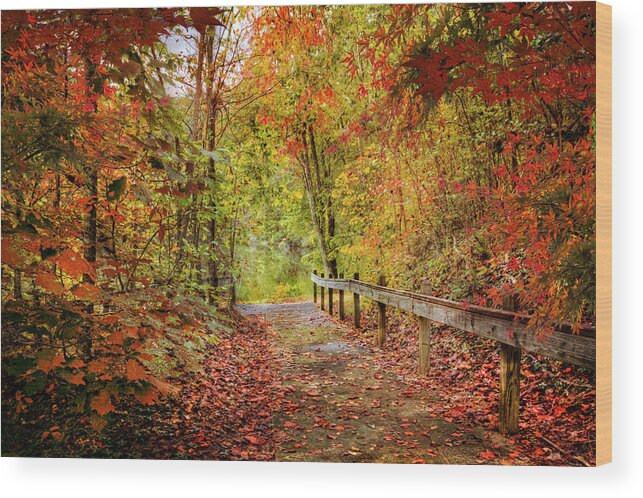 Appalachia Wood Print featuring the photograph Autumn Trail at Full Color by Debra and Dave Vanderlaan