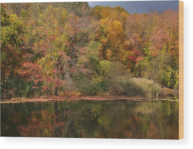 Fall Wood Print featuring the photograph Autumn Tranquility 1 by Frank Mari