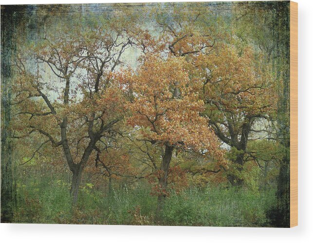 Autumn Wood Print featuring the photograph Autumn Trio by Scott Kingery