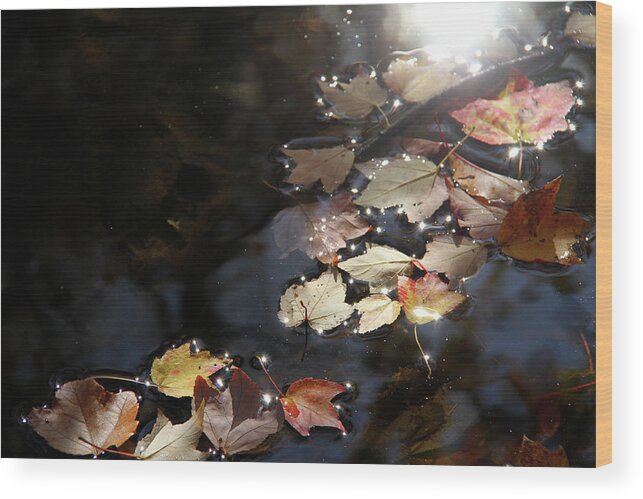 Autumn Wood Print featuring the photograph Autumn with leaves on water by Emanuel Tanjala