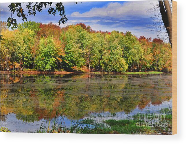Diane Berry Wood Print featuring the photograph Autumn Wonders by Diane E Berry