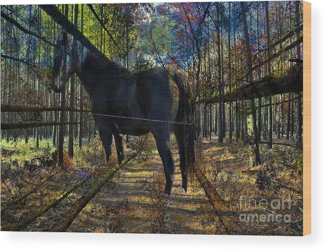Horse In The Autumn Forest Wood Print featuring the digital art Horse in the Autumn Forest by Silva Wischeropp