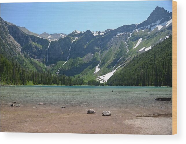 Glacier National Park Wood Print featuring the photograph Avalanche Lake by Cassie Marie Photography