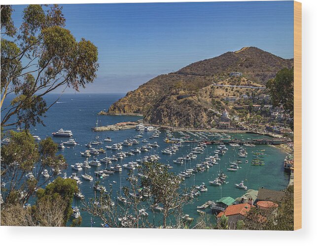 Avalon Wood Print featuring the photograph Avalon Bay by Roslyn Wilkins