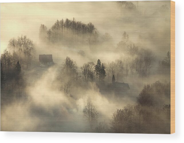 Landscape Wood Print featuring the photograph Awakening by Izabela Laszewska-mitrega