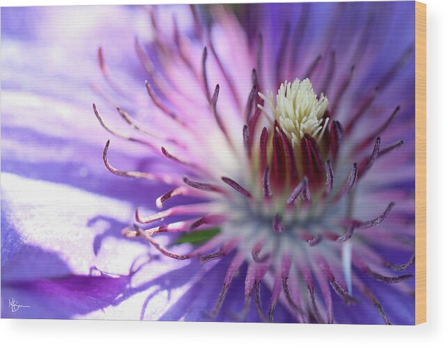 Flower Wood Print featuring the photograph Awakening by Mary Anne Delgado