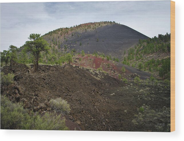 Arizona Wood Print featuring the photograph AZ Landscape from Lava Trail No. 3 by David Gordon