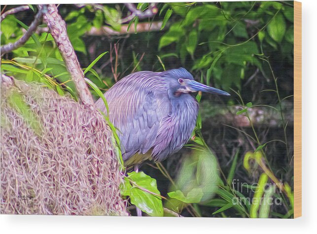 Nature Wood Print featuring the digital art Baby Great Blue Heron - TWO by DB Hayes