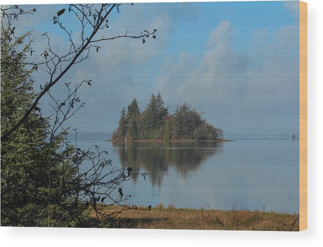 Willapa Bay Wood Print featuring the photograph Baby Island in Willapa Bay by E Faithe Lester