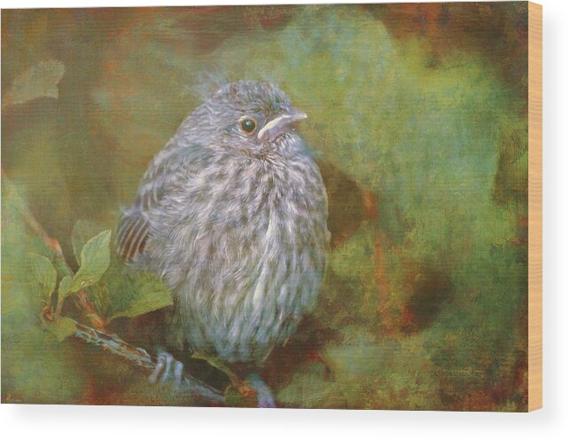 Branch Wood Print featuring the photograph Baby Sparrow - Digital Painting by Maria Angelica Maira