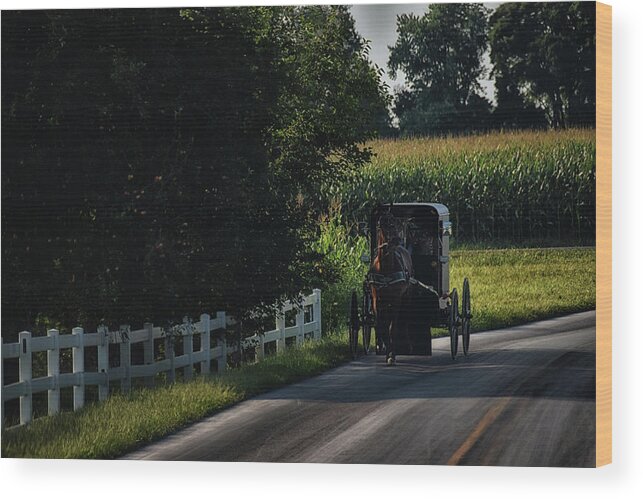 Amish Wood Print featuring the photograph Back Roads in Lancaster by Tricia Marchlik