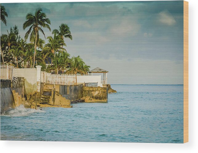 Vacation Wood Print featuring the photograph Bahamas Tropical Coast by Anthony Doudt