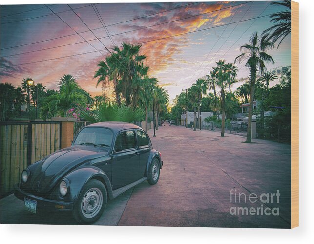 Beetle Wood Print featuring the photograph Baja Beetle by Becqi Sherman