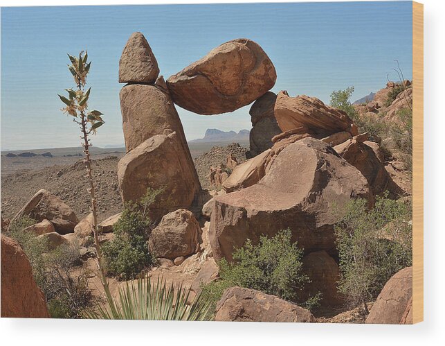 National Park Wood Print featuring the photograph Balanced Rock by Alan Lenk