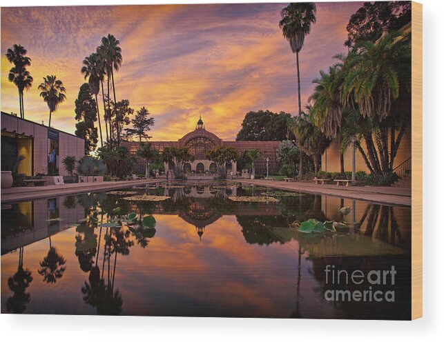 Balboa Park Wood Print featuring the photograph Balboa Park Botanical Building Sunset by Sam Antonio