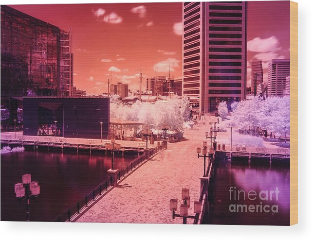Baltimore Wood Print featuring the photograph Baltimore Harbor by Jonas Luis