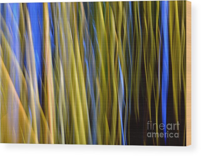 Abstract Wood Print featuring the photograph Bamboo Flames by Lorenzo Cassina