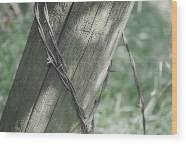 Barbwire Wood Print featuring the photograph Barbwire Shadow by Troy Stapek