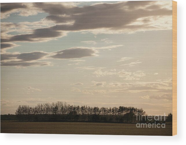 Winter Wood Print featuring the photograph Bare Fields by Timothy Johnson