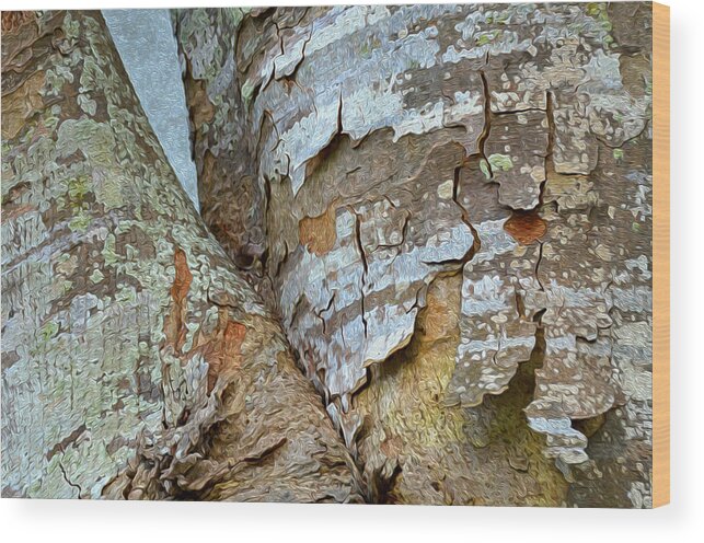  Pine Wood Print featuring the photograph Bark Composition 9 by Lynda Lehmann
