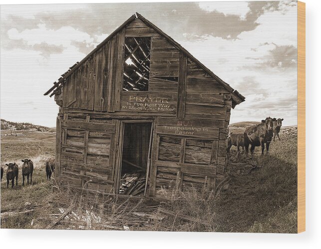 Barn Wood Print featuring the photograph Barn # 24 by Ed Hall