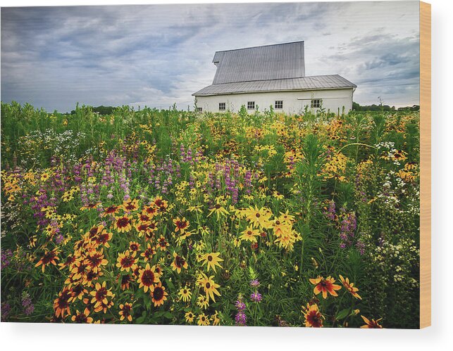 Gloriosa Daisy Wood Print featuring the photograph Barn and Wildflowers by Ron Pate