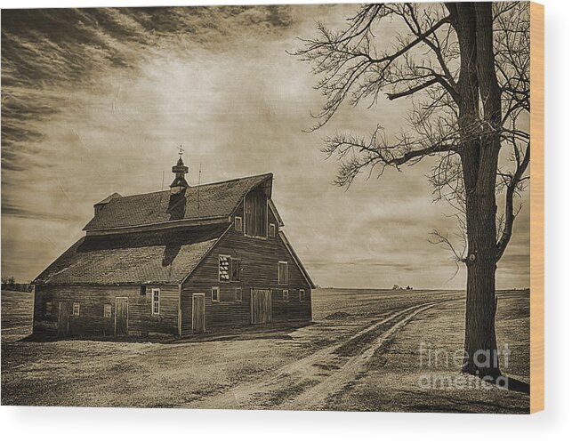 Barn In Sepia Wood Print featuring the photograph Barn in Sepia by Priscilla Burgers