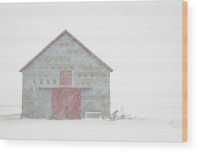 Barn Wood Print featuring the photograph Barn in Snow - 5482 by Jon Friesen