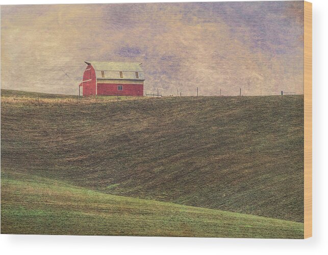 Red Barn Wood Print featuring the photograph Barn on a Hill by Bonnie Bruno