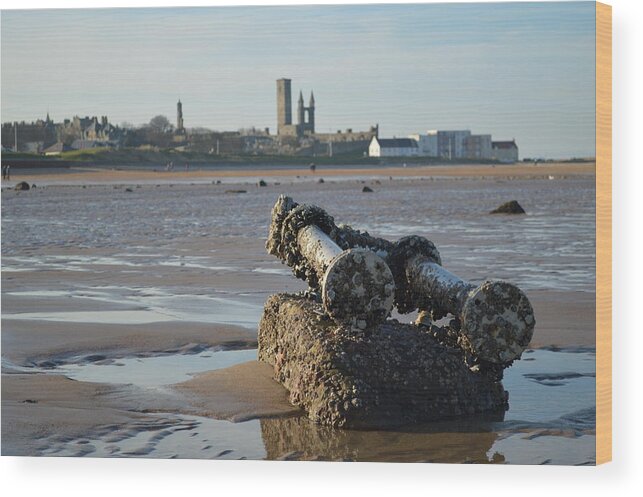 Barnacles Wood Print featuring the photograph Barnacles On Boat Debris by Adrian Wale