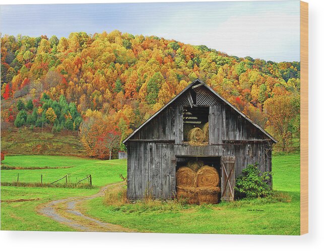 Fall Wood Print featuring the photograph Barntifull by Dale R Carlson
