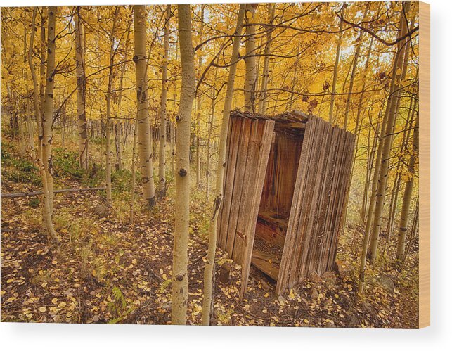 Outhouse Wood Print featuring the photograph Bathroom Break by Elin Skov Vaeth
