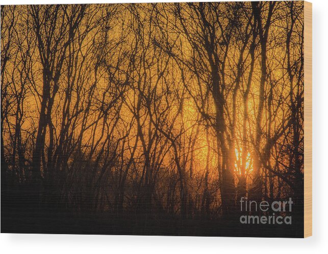 Gold Wood Print featuring the photograph Batik Sunset by Cheryl McClure