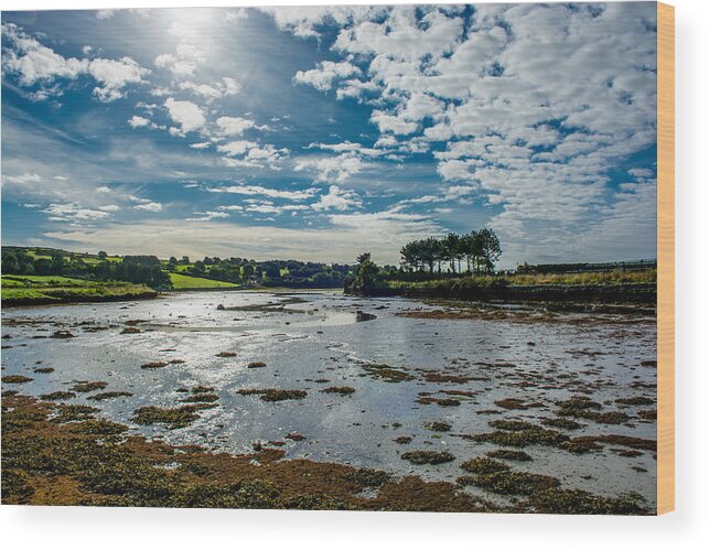 Ireland Wood Print featuring the photograph Bay at Low Tide in Clonakilty in Ireland by Andreas Berthold