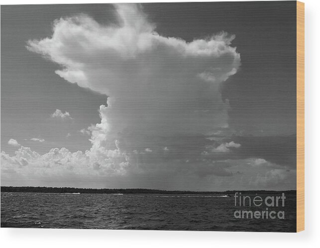Landscape Wood Print featuring the photograph Bayshore Thunderhead in BW by Mary Haber