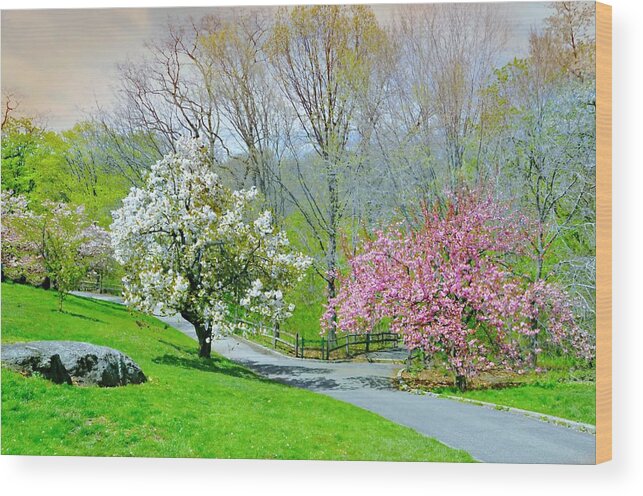 Nybg Wood Print featuring the photograph Be True to Yourself by Diana Angstadt