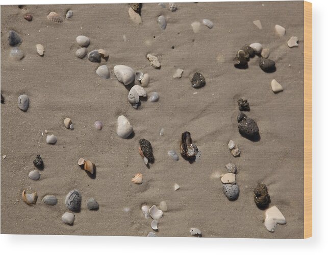 Texture Wood Print featuring the photograph Beach 1121 by Michael Fryd