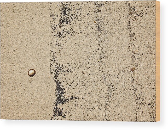 Sand Wood Print featuring the photograph Beach Art by Catherine Reading