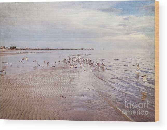Gulf Coast Wood Print featuring the photograph Beach Birds by Joan McCool
