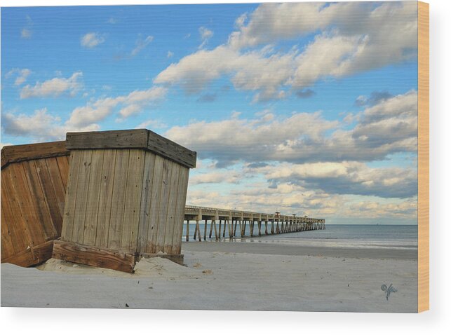 Beach Wood Print featuring the photograph Beach Boxes by Arthur Fix