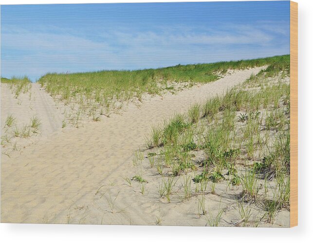 Cape Cod Wood Print featuring the photograph Beach Crossroads by Luke Moore