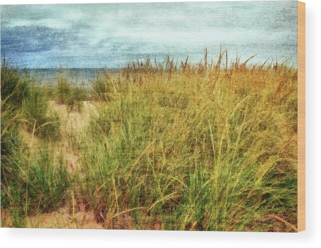 Beach Path Wood Print featuring the digital art Beach Grass Path - Painterly by Michelle Calkins