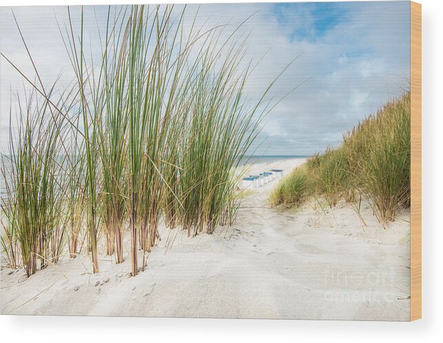 De Koog Wood Print featuring the photograph Beach Scenery by Hannes Cmarits