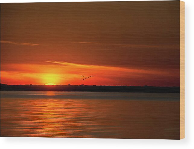 Sunset Wood Print featuring the photograph Beach Sunset by Cathy Kovarik