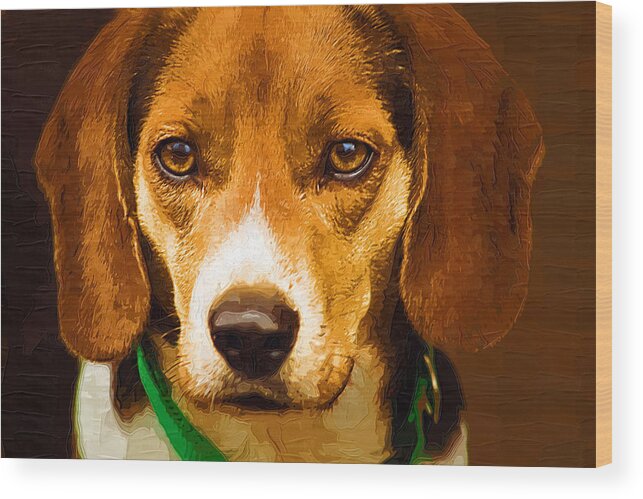 Beagle Wood Print featuring the photograph Beagle Hound Dog in Oil by Kathy Clark