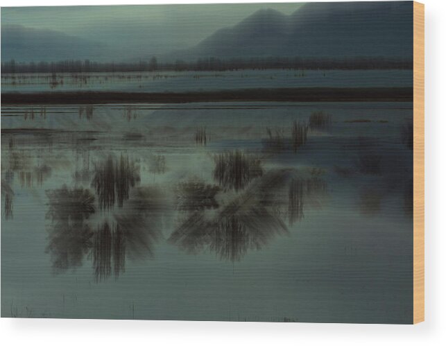 Water Wood Print featuring the photograph Bear River Bird Refuge by Deborah Hughes