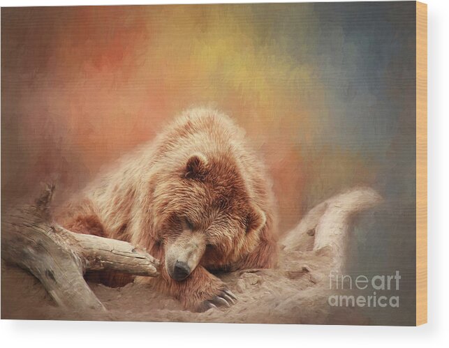 Bear Wood Print featuring the photograph Bearly Asleep by Sharon McConnell